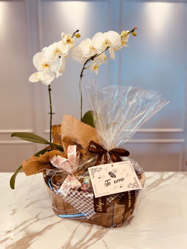 Cesta Orquídea - a beleza e delicadeza Da Orquídea combina com a beleza e delicadeza dos macarrons, combina